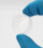 Micropatterned Dishes