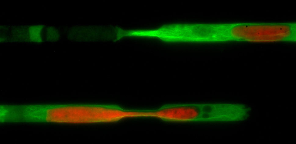 Microchannels Introduction