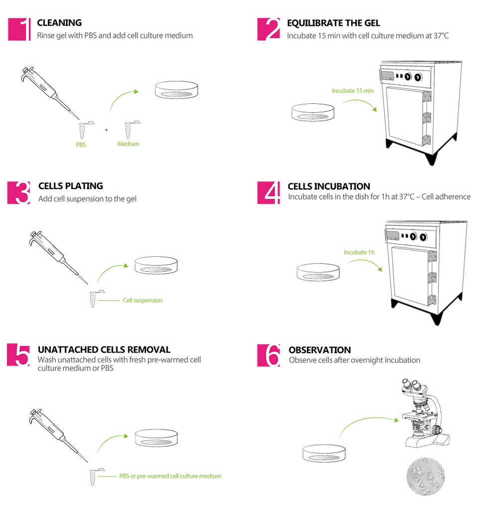 Coverslip coated with gel protocol